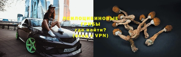 спайс Арсеньев