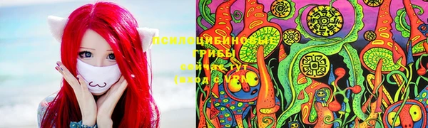 спайс Арсеньев