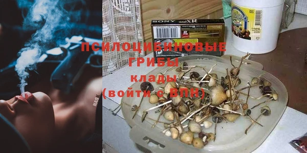 спайс Арсеньев